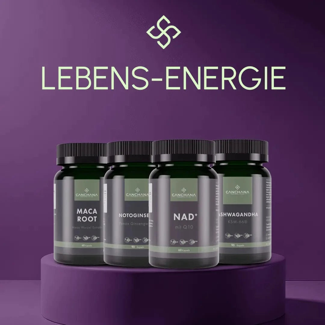 Lebens-Energie & Wohlbefinden