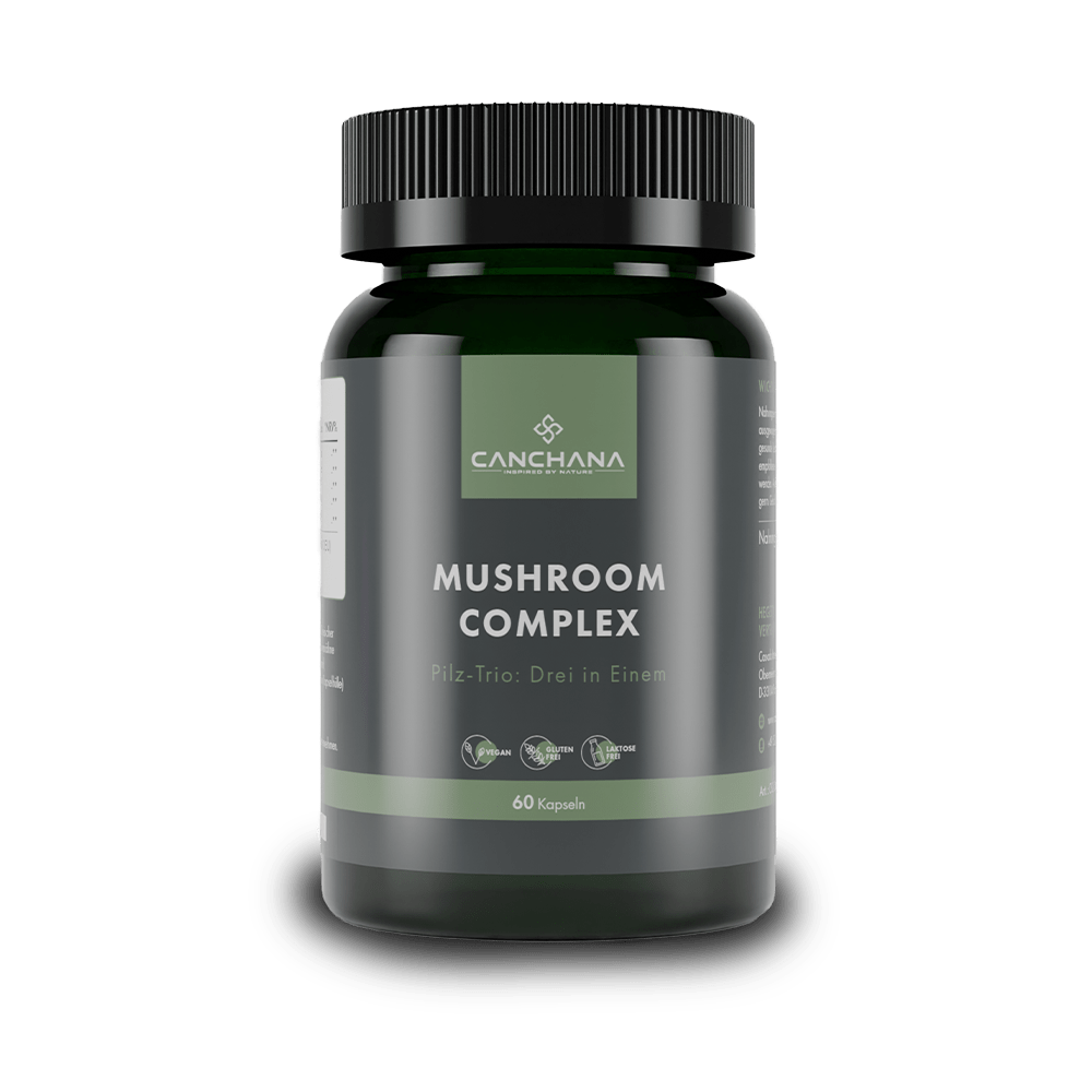 Mushroom Complex