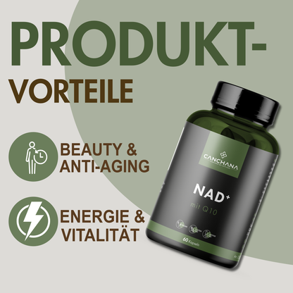 NAD+ Liposomal