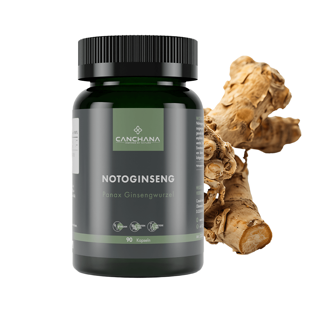 Notoginseng