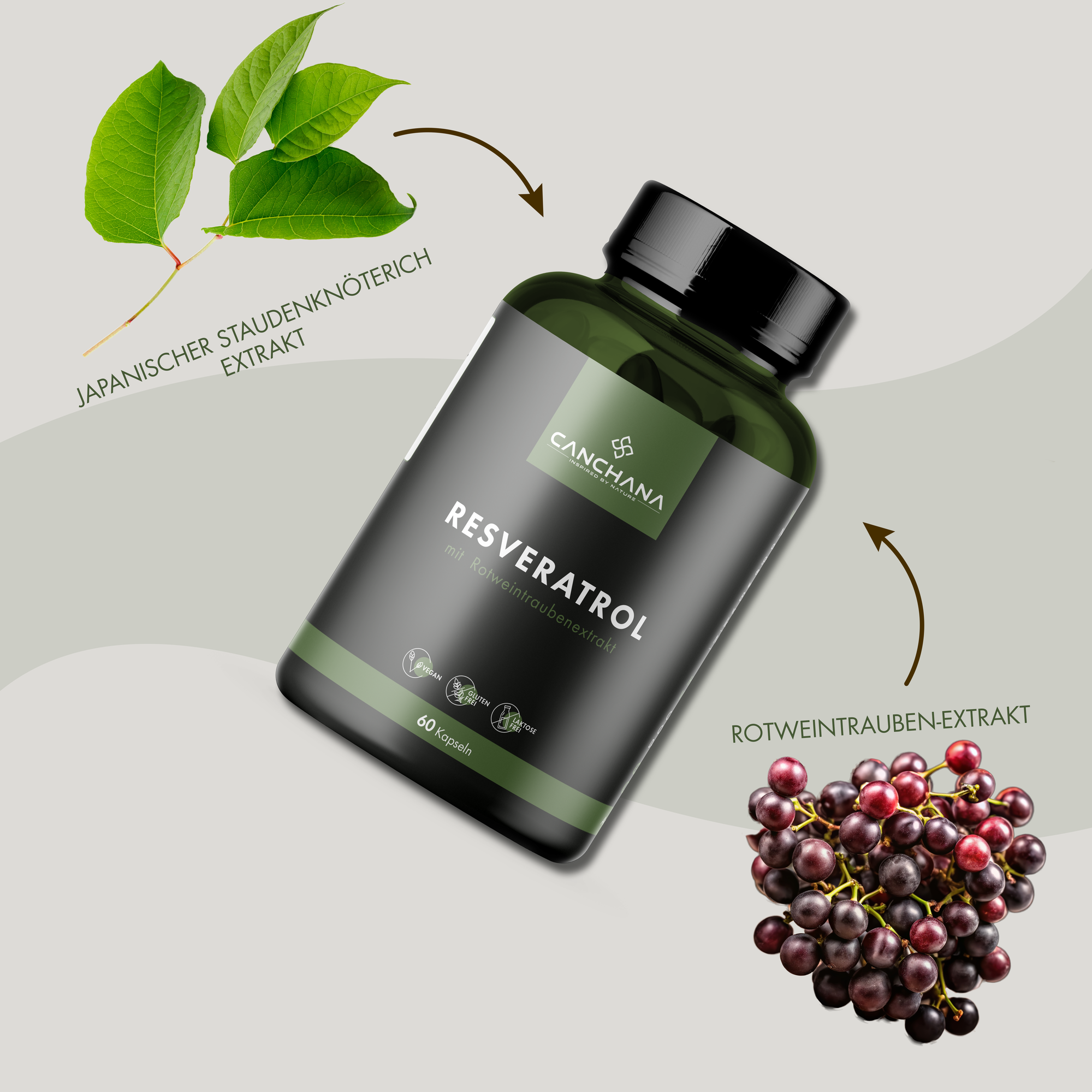 Resveratrol