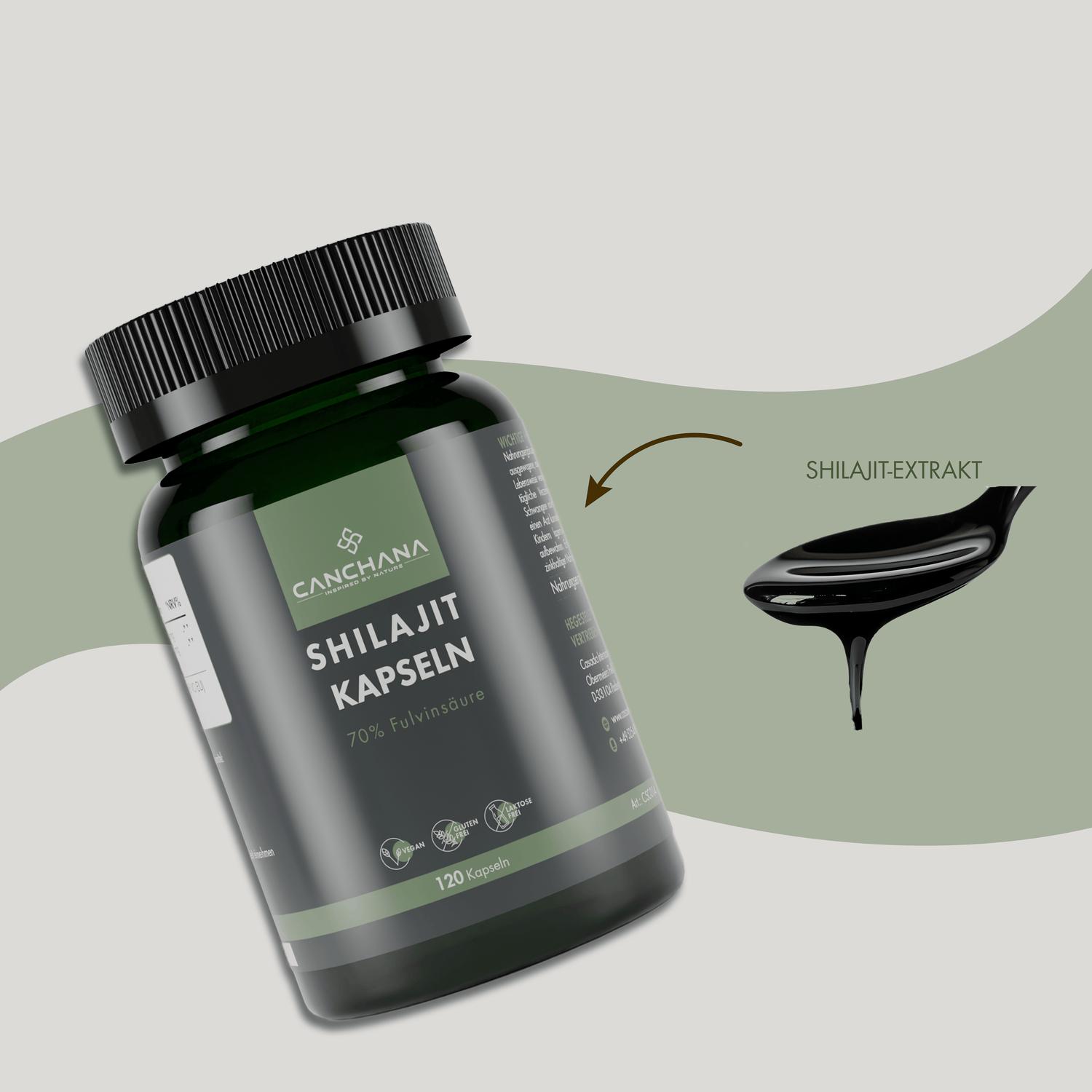 Shilajit Kapseln