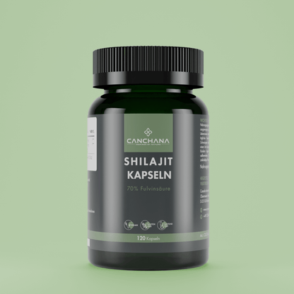 Shilajit Kapseln