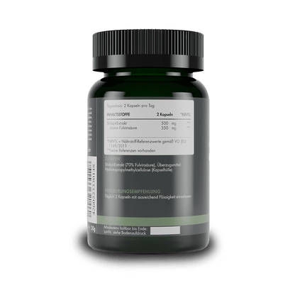 Shilajit Kapseln