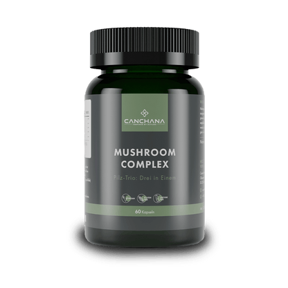 Mushroom Complex